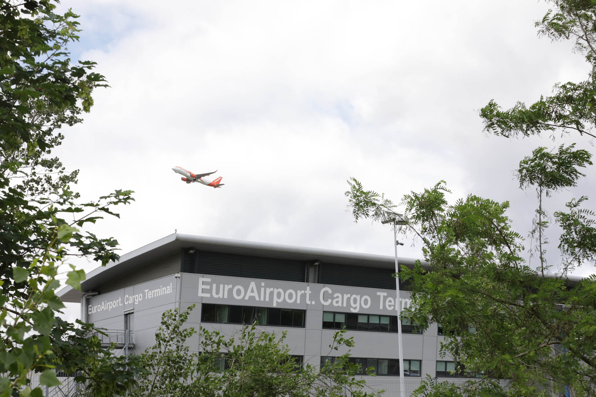 Firefighting foam used for decades at the busy Basel Mulhouse Freiburg airport is the source of the pollution.