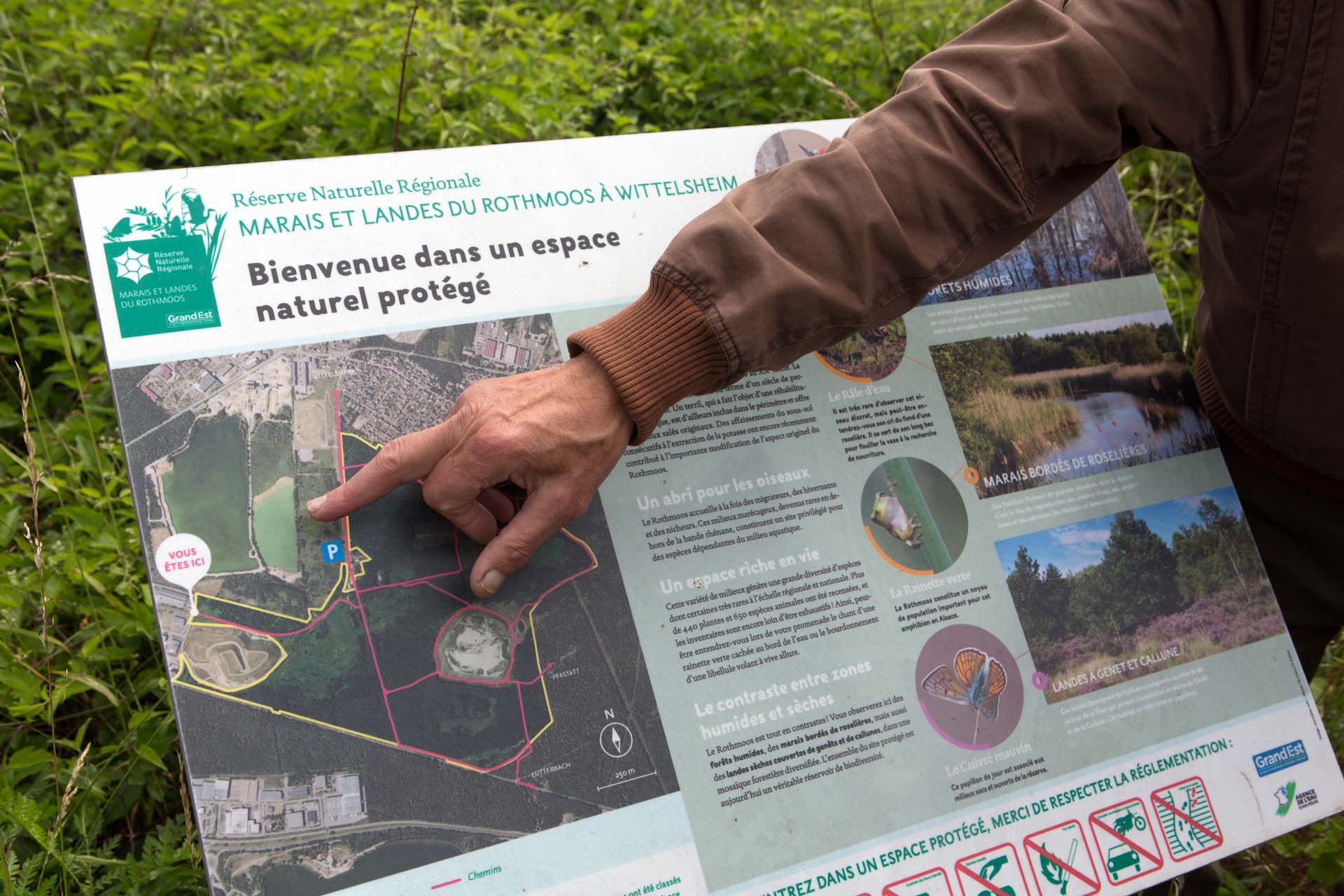 In the middle of the nature reserve, contained in the mine are substances that have been linked to mass die-offs in wildlife, which could have severe and longlasting effects on ecosystems.
