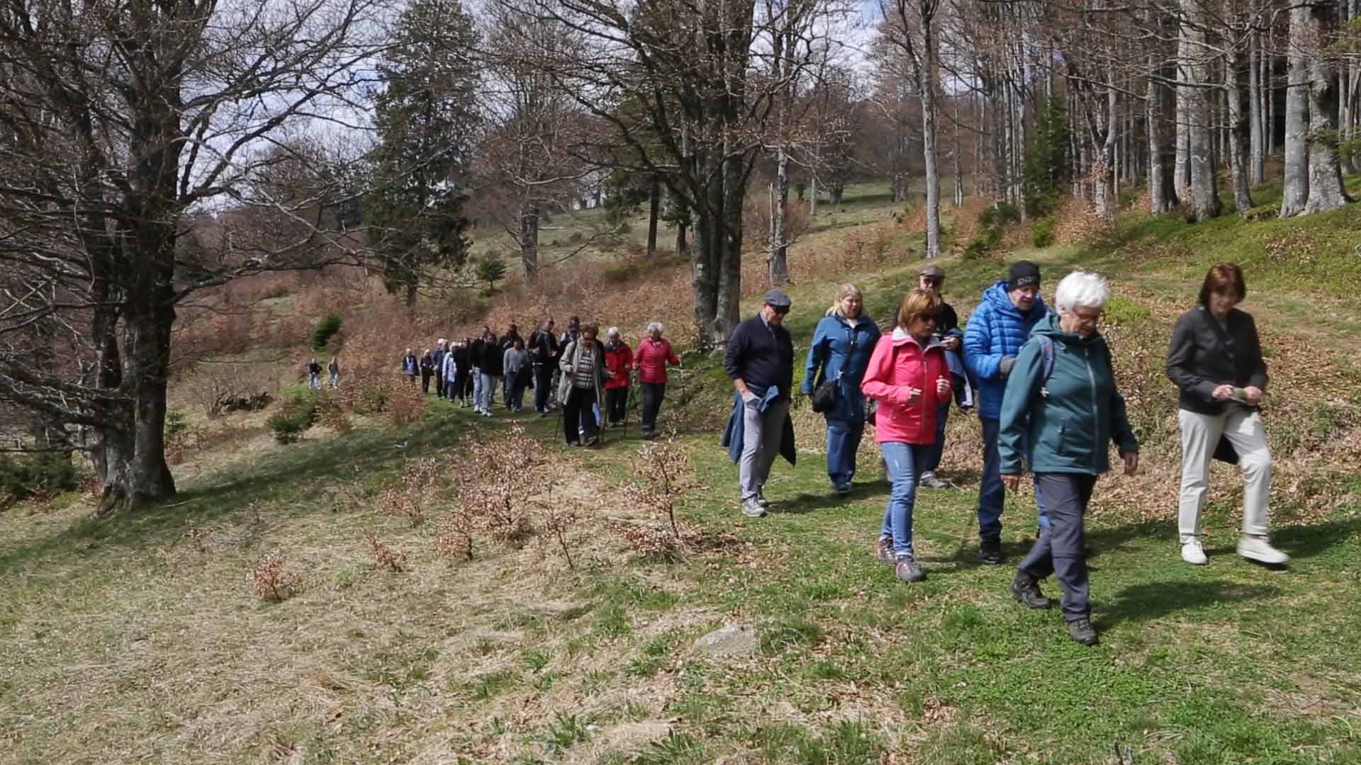 Relatives and Hofsgrund villagers retrace the boys' footsteps on the Schauinsland mountain.