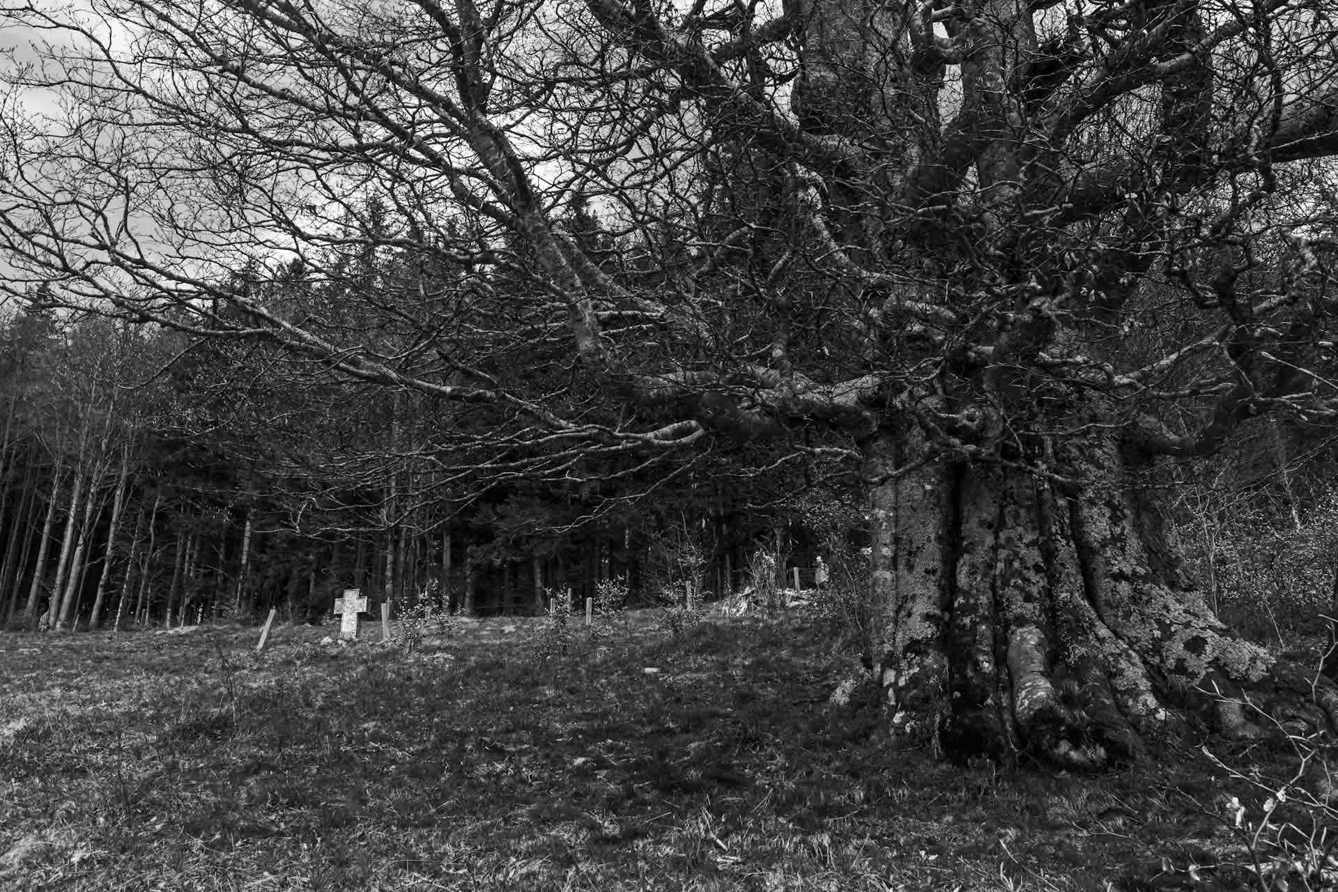 A modest stone cross on a grassy slope close to the spot where Jack Eaton, 14 years and 10 months old, had collapsed and died metres from the village.