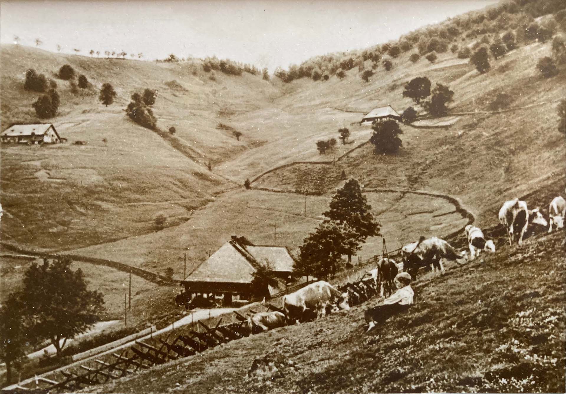 The Dobelhof in 1929 – It was the first farm two of the boys reached during the snowstorm to get first aid. Today, the Dobelhof is run by Ewald Lorenz.